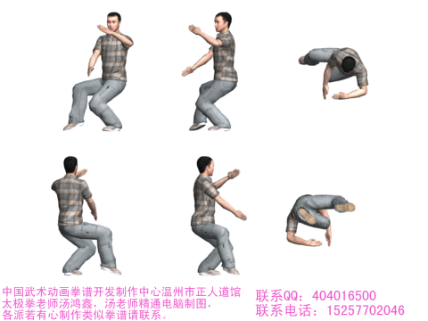 ʮʽ̫ȭʾ